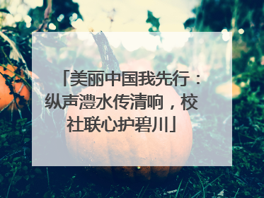 美丽中国我先行：纵声澧水传清响，校社联心护碧川