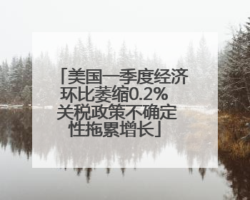 美国一季度经济环比萎缩0.2% 关税政策不确定性拖累增长