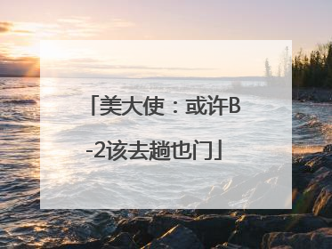 美大使：或许B-2该去趟也门