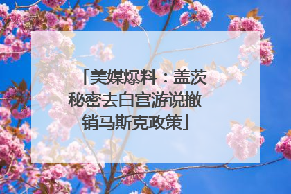 美媒爆料：盖茨秘密去白宫游说撤销马斯克政策
