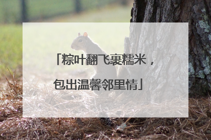 粽叶翻飞裹糯米，包出温馨邻里情