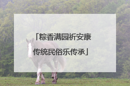 粽香满园祈安康 传统民俗乐传承