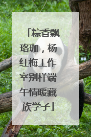 粽香飘珞珈，杨红梅工作室别样端午情暖藏族学子