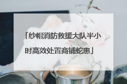 纱帽消防救援大队半小时高效处置商铺蛇患