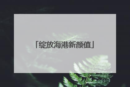绽放海港新颜值
