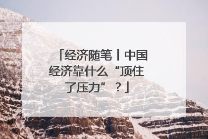 经济随笔丨中国经济靠什么“顶住了压力”？