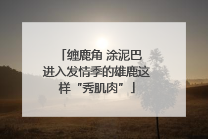 缠鹿角 涂泥巴 进入发情季的雄鹿这样“秀肌肉”