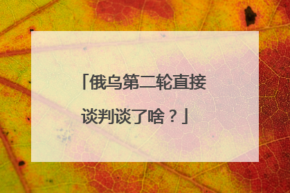 俄乌第二轮直接谈判谈了啥？