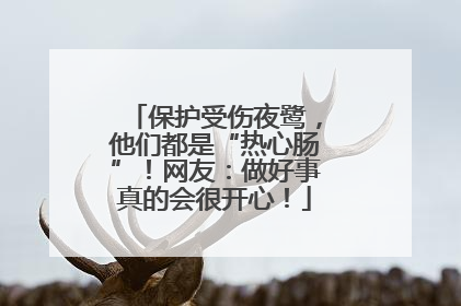 保护受伤夜鹭，他们都是“热心肠”！网友：做好事真的会很开心！