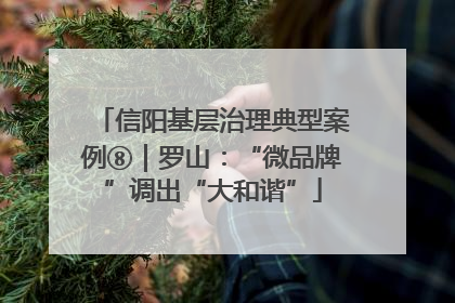 信阳基层治理典型案例⑧｜罗山：“微品牌”调出“大和谐”
