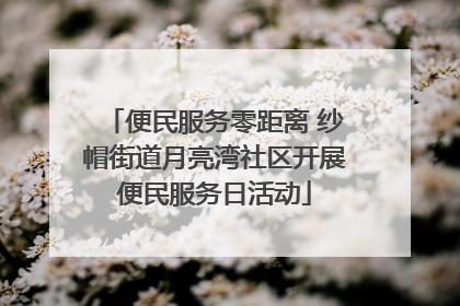 便民服务零距离 纱帽街道月亮湾社区开展便民服务日活动