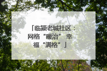临颍老城社区：网格“暖治” 幸福“满格”