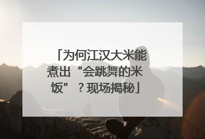 为何江汉大米能煮出“会跳舞的米饭”？现场揭秘