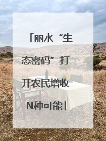 丽水“生态密码”打开农民增收N种可能