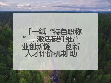 一纸“特色职称”，激活碳纤维产业创新链——创新人才评价机制 助推产业升级
