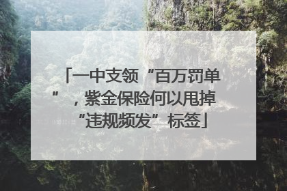 一中支领“百万罚单”,紫金保险何以甩掉“违规频发”标签