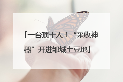 一台顶十人！“采收神器”开进邹城土豆地