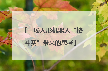 一场人形机器人“格斗赛”带来的思考