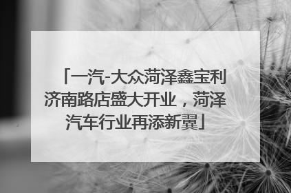 一汽-大众菏泽鑫宝利济南路店盛大开业，菏泽汽车行业再添新翼