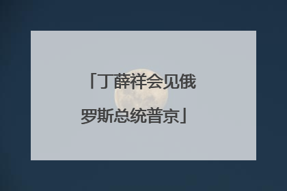 丁薛祥会见俄罗斯总统普京