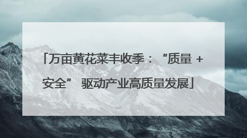 万亩黄花菜丰收季：“质量 + 安全” 驱动产业高质量发展