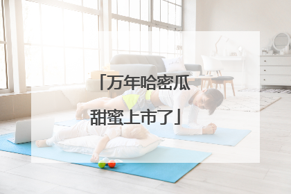 万年哈密瓜甜蜜上市了