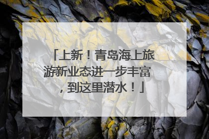 上新！青岛海上旅游新业态进一步丰富，到这里潜水！