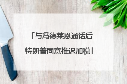 与冯德莱恩通话后 特朗普同意推迟加税