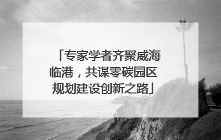 专家学者齐聚威海临港，共谋零碳园区规划建设创新之路