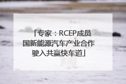 专家：RCEP成员国新能源汽车产业合作驶入共赢快车道