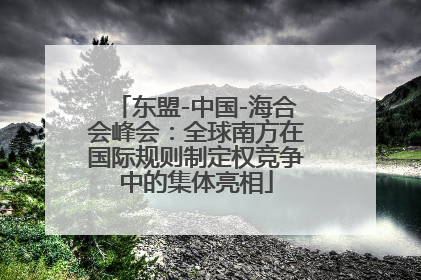 东盟-中国-海合会峰会：全球南方在国际规则制定权竞争中的集体亮相
