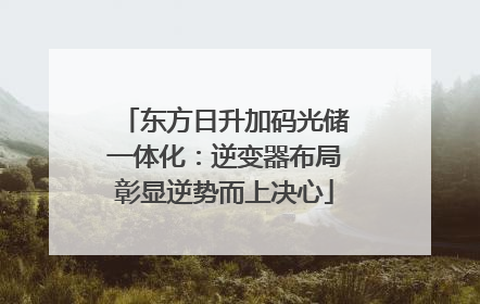 东方日升加码光储一体化：逆变器布局彰显逆势而上决心