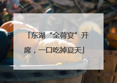 东湖“全荷宴”开席，一口吃掉夏天
