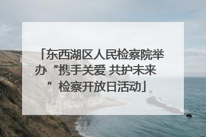 东西湖区人民检察院举办“携手关爱 共护未来”检察开放日活动