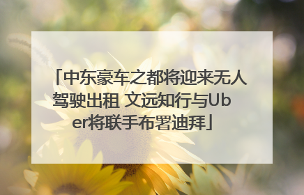 中东豪车之都将迎来无人驾驶出租 文远知行与Uber将联手布署迪拜