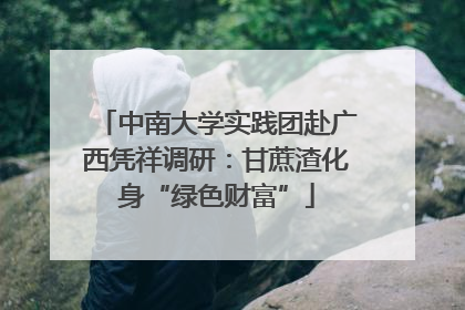 中南大学实践团赴广西凭祥调研：甘蔗渣化身“绿色财富”