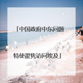 中国政府中东问题特使翟隽访问埃及