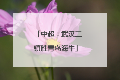 中超：武汉三镇胜青岛海牛