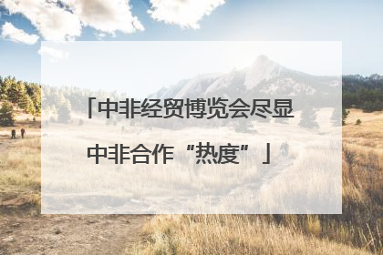 中非经贸博览会尽显中非合作“热度”
