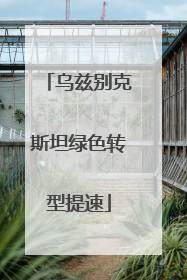 乌兹别克斯坦绿色转型提速