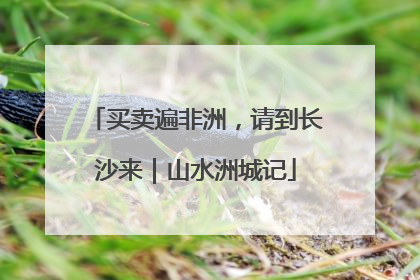 买卖遍非洲，请到长沙来｜山水洲城记