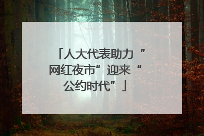 人大代表助力“网红夜市”迎来“公约时代”