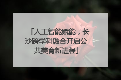人工智能赋能，长沙跨学科融合开启公共美育新进程