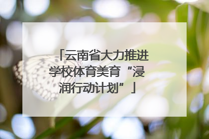 云南省大力推进学校体育美育“浸润行动计划”