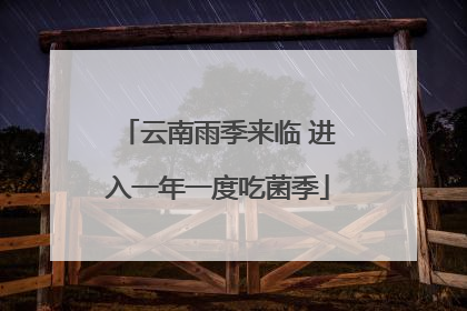云南雨季来临 进入一年一度吃菌季