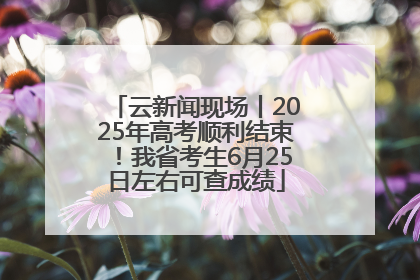 云新闻现场丨2025年高考顺利结束！我省考生6月25日左右可查成绩