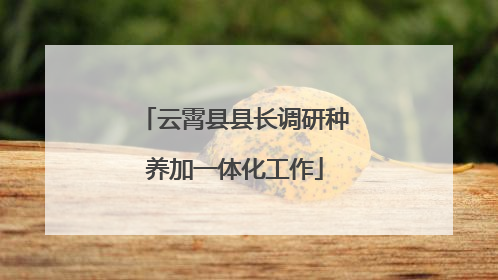 云霄县县长调研种养加一体化工作