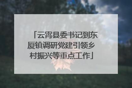 云霄县委书记到东厦镇调研党建引领乡村振兴等重点工作