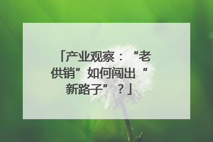 产业观察：“老供销”如何闯出“新路子”？