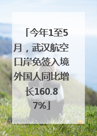 今年1至5月，武汉航空口岸免签入境外国人同比增长160.87%